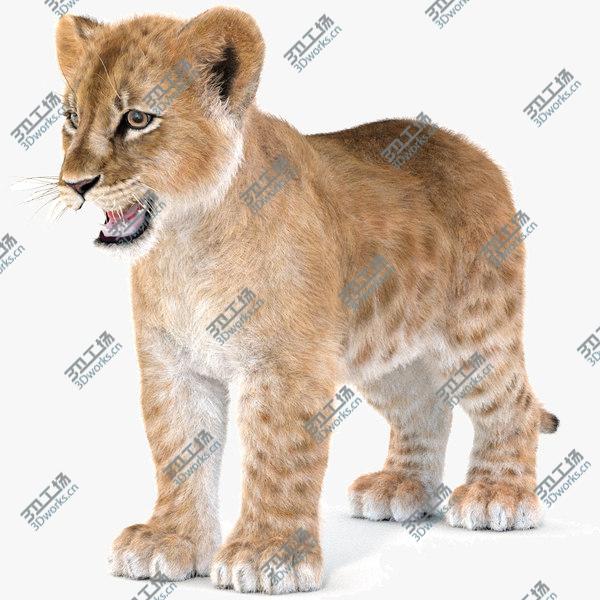 images/goods_img/20210312/Baby Lion Furry 3D/1.jpg